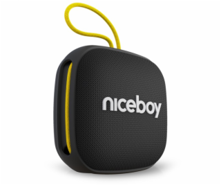 Niceboy RAZE Mini 4