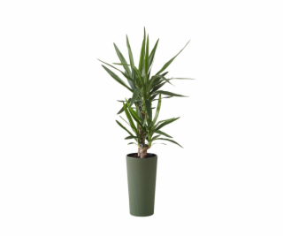 Hrniec Lamela Lilia 875-42, plast, O 25 cm, zelený