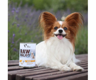RAW PALEO Adult Monoprotein Turkey - vlhké krmivo pro psy...