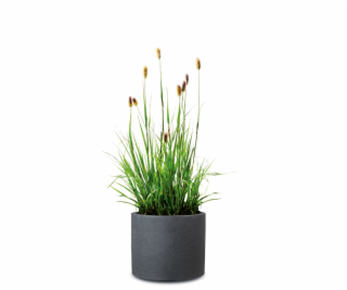 Hrniec Scheurich Schwarz-Granit, plast, O 39 cm