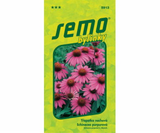 Semeno Třapatka nachová-Echinacea 1 g