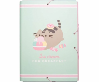 Pusheen Pusheen - Priečinok na ukladanie dokumentov z kol...