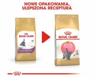 Royal Canin British Shorthair Kitten kočky suché krmivo 2...