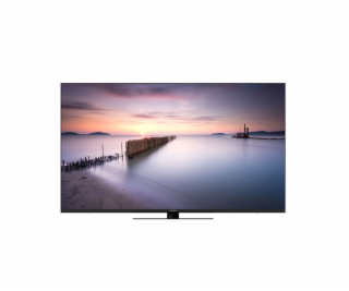 Panasonic TV-43W80AEZ schwarz