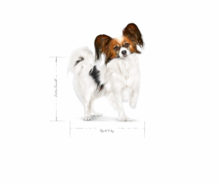ROYAL CANIN Adult x- small SHN - suché krmivo pro psy - 0...
