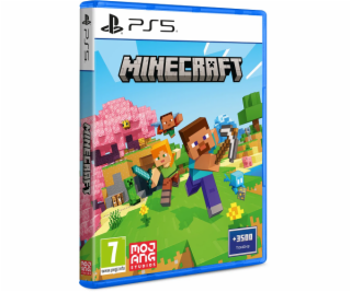 PS5 - Minecraft