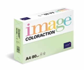 Antalis Papír Image Coloraction Jungle - pastelově světle...