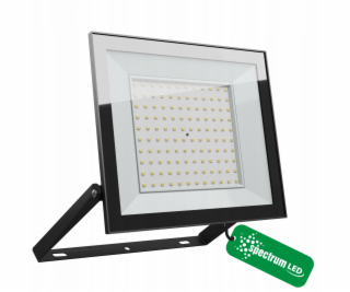 Wojnarowscy Reflektor NOCTIS LUX 4 100W, 230V, IP65, 251x...