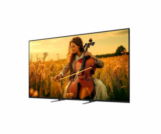 Televize SONY K65XR55B