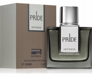 Afnan Parfume Men Rue Broca Pride Intense EDP 100ml