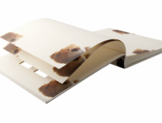 Walther Classic Bear     28x30,5 60 Seiten Baby Buch        UK273