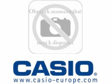 Laser Scanner Casio DT 5057 CF