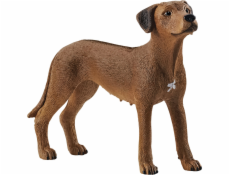 Schleich 13895 Ridgback rhodéský
