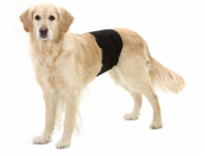 Karlie Inkontinenční kalhoty pro psy černé  74x23cm