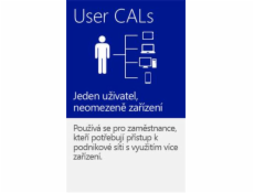 WINDOWS SERVER CAL 2019 CZ 5 CLT USER CAL OEM