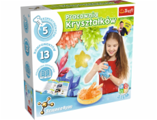 Science4You Crystal Workshop