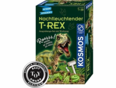 Nachtleuchtender T-REX, Experimentierkasten Nachtleuchtender T-REX, Experimentierkasten