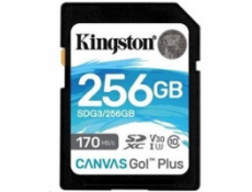 Kingston 256GB microSDXC Canvas Go Plus 170R A2 U3 V30 Single Pack bez ADP
