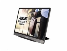 ASUS ZenScreen MB14AC
