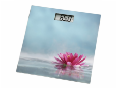 Xavax Rosa, Digitální Osobní Váha