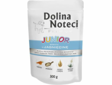 Dolina Noteci Premium dogs moist food Lamb 300 g