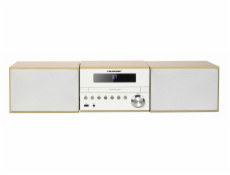 Blaupunkt MS45BT