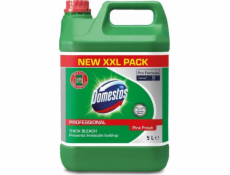 DOMESTOS PROFESSIONAL Pine Fresh Toaletný gél WC gél XXL 5L