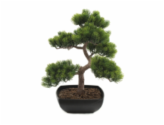 Bonsai borovice, 50 cm