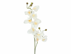 Orchidej větvička, krémově-bílá, 100 cm