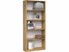 Topeshop R60 ARTISAN office bookcase