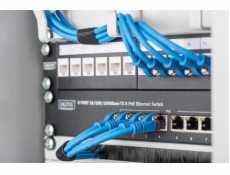 DIGITUS 10  rotujuci panel 3x Kabelringe 254 mm 1HE
