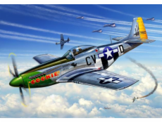  P-51D Mustang