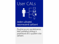 MS OEM Windows Server CAL 2016 EN 1pk 1 User CAL