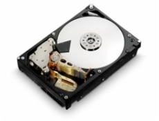 Western Digital Ultrastar® HDD 6TB (HUS726T6TALE6L4) DC HC310 3.5in 26.1MM 256MB 7200RPM SATA 512E SE (GOLD WD6002FRYZ)