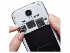 Karta PNY Performance Plus MicroSDHC 32 GB Class 10 (P-SDU32G10PPL-GE)