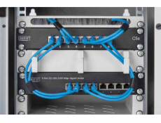 DIGITUS 10 palcový 8 portový gigabitový Ethernet PoE + přepínač, L2 + management
