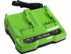 Greenworks 40V Dual Slot 2A Greenworks G40X2CUC2 Charger - 2940907