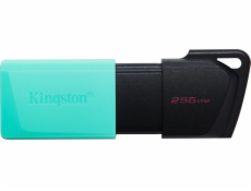 Kingston 256GB USB3.2 Gen 1 DataTraveler Exodia M (Black + Teal)
