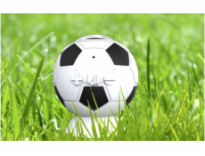 BULL PRODUCTS prenosny Bluetooth 3.0 futbalova lopta