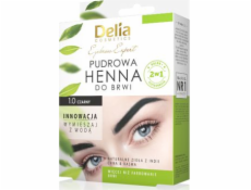 Delia Powder henna na obočie 0,1 Black