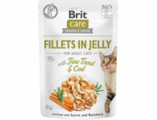 Brit CARE KOT saszetka FJ FINE TROUT&COD /24 85g