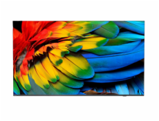Philips/50HFL6214U/12/50 /4K UHD/Gray