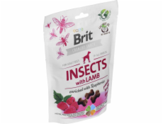 Brit Przysmak Brit Care Dog Insect&Lamb 200g