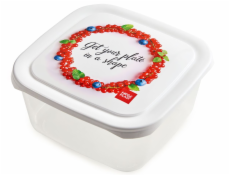 Box jedálenský 2 ls potlačou plast