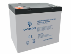 Baterie Conexpro AGM-12-55 VRLA AGM 12V/55Ah, T14 