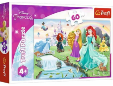 Trefl Puzzle 60EL splňuje princezny 17361 TREFL