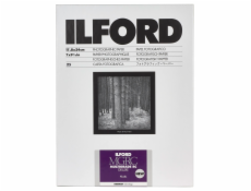 1x 25 Ilford MG RC DL 44M  18x24