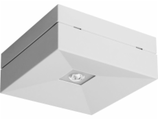 Awex Emergency Luminaire Lovato n LED 1W (Opt. Cairytale) 1H Science White Eco LED LVNC/1W/ESE - LVNC/1W/ESE/X/WH