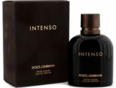 Dolce & Gabbana Intenso Pour Homme EDP Spray 125ml