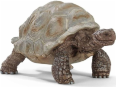 Schleich 14824 Želva obrovská